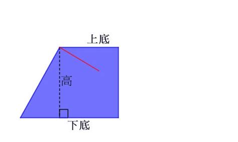 梯形的高怎麼算|秒懂梯形面積公式｜超詳細解說＋例題演練，不用死背 